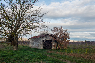 cabanes des champs saint rambert 18