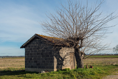 cabanes des champs saint rambert 22