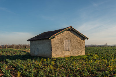 cabanes des champs saint rambert 5