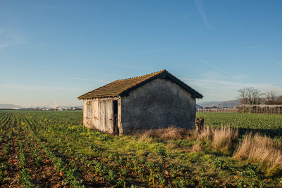 cabanes des champs saint rambert 6