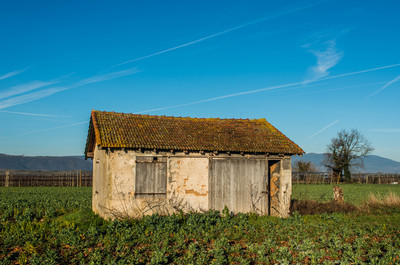 cabanes des champs saint rambert 7